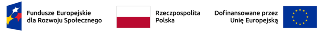 Dofinansowane przez Unię Europejską